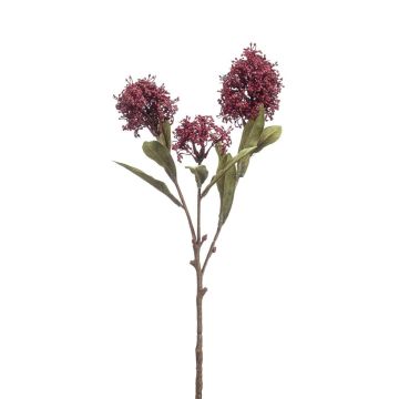 Deko Skimmie NAURU mit Blüten, burgunderrot, 55cm