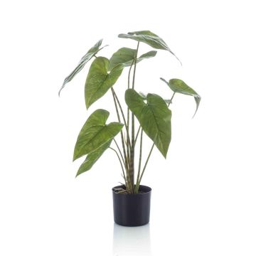 Kunstpflanze Alocasia Zebrina LEFKA mit Wurzeln, grün, 75cm