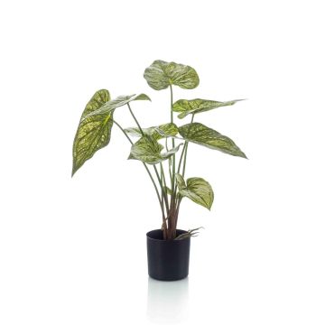 Kunst Pflanze Caladium YAWAR mit Wurzeln, grün-gelb, 60cm