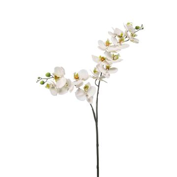 Plastik Phalaenopsis Orchideen Zweig WANTA, weiß, 100cm
