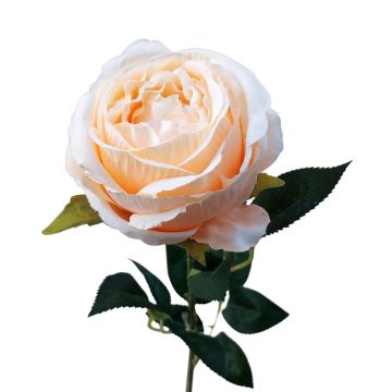 Kunstblume Rose CHERLEN, aprikose, 65cm, Ø10cm