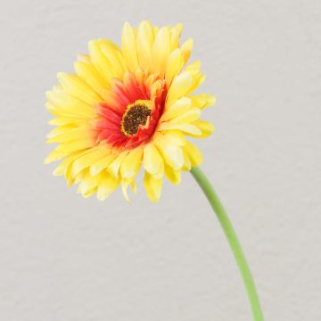 Künstliche Blume Gerbera TEUDELINDE, gelb, 55cm, Ø8cm
