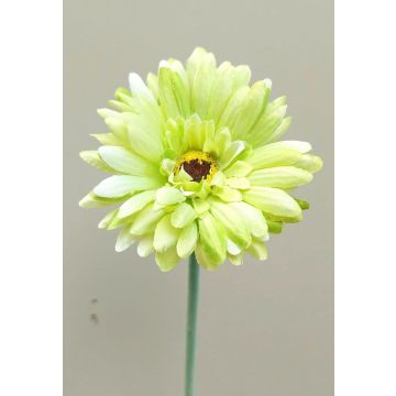 Künstliche Blume Gerbera TEUDELINDE, grün-creme, 55cm, Ø8cm