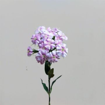 Unechte Blume Bartnelke SUSILAWA, rosa-violett, 55cm