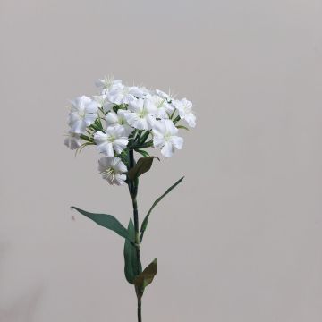Unechte Blume Bartnelke SUSILAWA, weiß-creme, 55cm