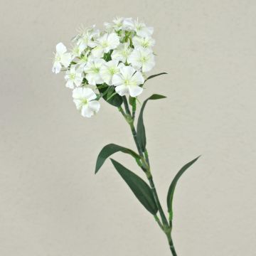 Unechte Blume Bartnelke SUSILAWA, weiß-creme, 55cm