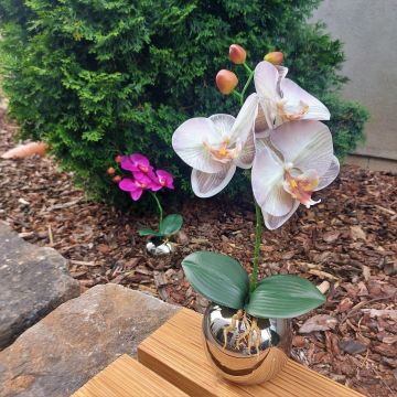 Kunstblume Orchidee Phalaenopsis NAPIRAI, Übertopf, weiß-lila, 30cm