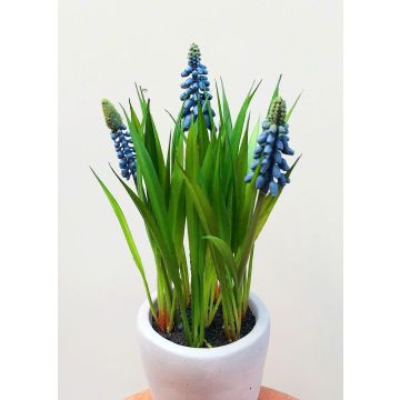 Künstliche Blume Traubenhyazinthe NARMADA im Zementtopf, blau, 20cm