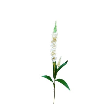 Dekoblume Ehrenpreis RUNHERDA, weiß, 75cm