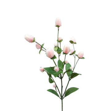 Deko Blumenzweig Kugelamarant THUSNELDA, rosa-weiß, 70cm