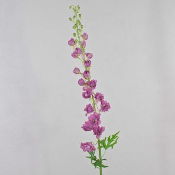 Unechte Blume Rittersporn RADUNIA, lila, 110cm, Ø2,5-7cm