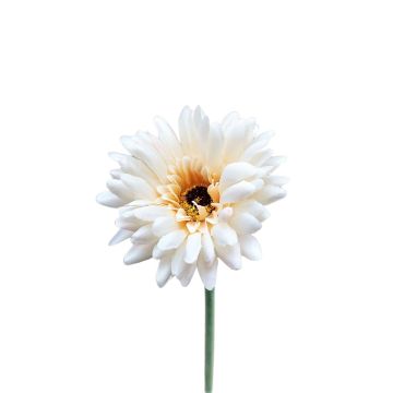 Künstliche Blume Gerbera TEUDELINDE, weiß-creme, 55cm, Ø8cm