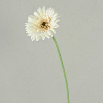 Künstliche Blume Gerbera TEUDELINDE, weiß-creme, 55cm, Ø8cm
