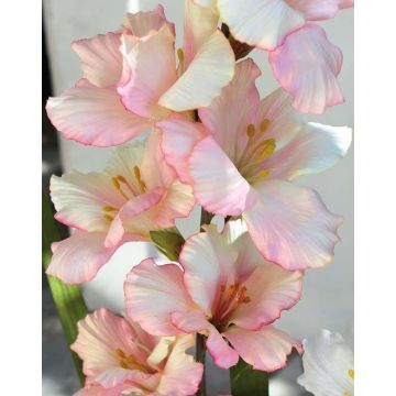 Plastik Blume Gladiole THEOPHORA, rosa-creme, 110cm
