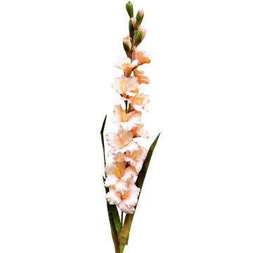 Plastik Blume Gladiole THEOPHORA, aprikose-rosa, 110cm