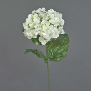 Hortensie plastik MONA, creme, 70cm, Ø15cm