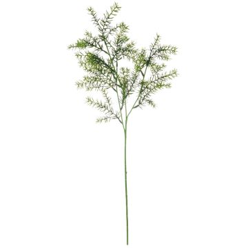 Kunst Asparagus sprengeri Zweig PETRINO, grün, 65cm