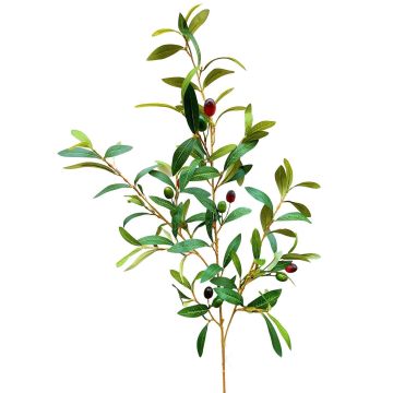 Olivenzweig ROVUMA mit Früchten, grün, 95cm