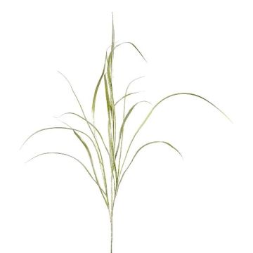Dekozweig Schilf Gras TROVAL, grün-silber, 105cm