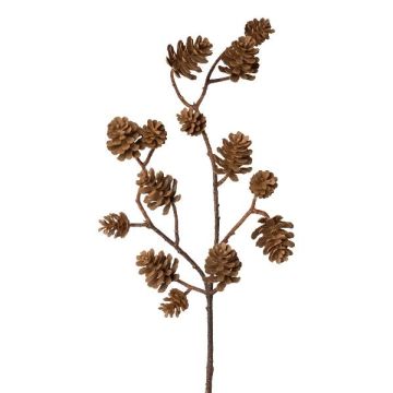 Dekozweig Tanne KREMLA mit Zapfen, braun, 50cm