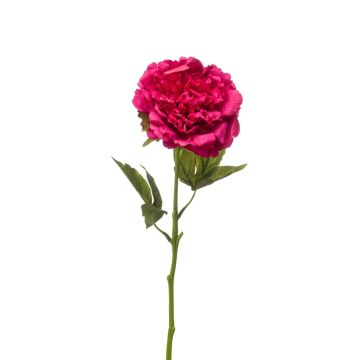 Pfingstrose künstlich GAVRON, pink, 55cm