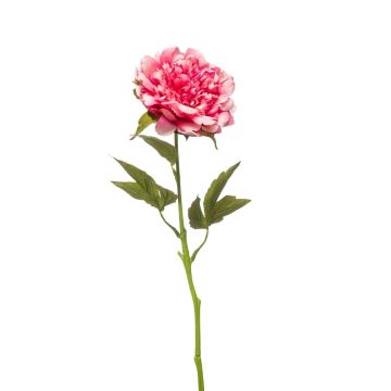 Pfingstrose künstlich GAVRON, rosa, 55cm