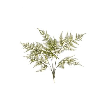 Kunstpflanze Schwertfarn MELFIR, auf Steckstab, crossdoor, grün, 65cm