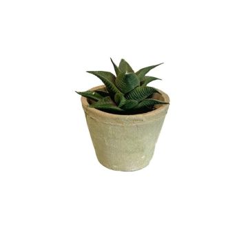 Künstliche Sukkulente Haworthia limifolia GLOFER im Terracottatopf, dunkelgrün, 13cm