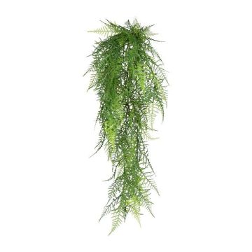Kunst Asparagus Plumosus Hänger QUALO, Steckstab, 80cm