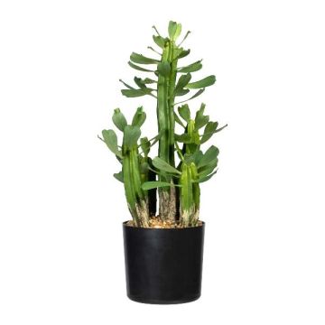 Kunst Kaktus Euphorbia trigona MANDOR, grün, 40cm