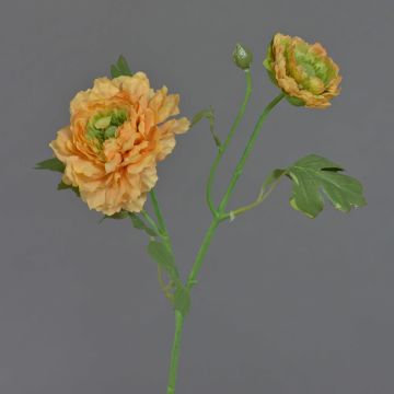 Künstlicher Zweig Ranunkel SAGARA, aprikose-grün, 45cm, Ø5-9cm