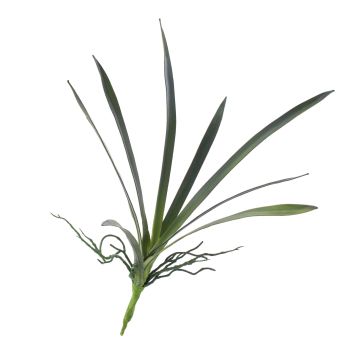 Kunststoffschaum Blätter Oncidium Orchidee PAOLA, Luftwurzel, 25x45cm