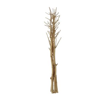 Getrocknete Zweige HASINA, Weide, gold, 160-200cm