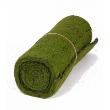 Moosmatte Vlies CUNO, grün-braun, 205x50cm