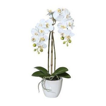 Kunst Phalaenopsis Orchidee LARKEN im Keramiktopf, Wurzeln, weiß, 45cm