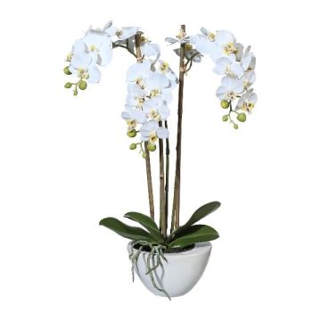 Kunst Phalaenopsis Orchidee LARKEN im Keramikschale, Wurzeln, weiß, 50cm