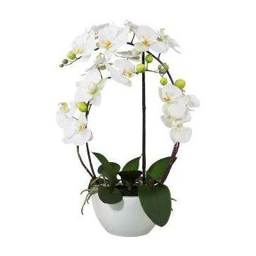 Textil Phalaenopsis Orchidee INAKES, Keramiktopf, Wurzeln, weiß, 50cm
