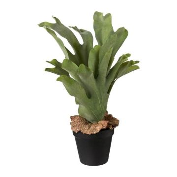 Künstliche Pflanze Geweihfarn FROHEL, Dekotopf, grün, 35cm