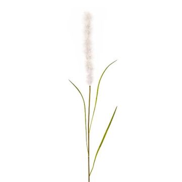 Künstliche Pampasgras Rispe JARME, weiß, 100cm