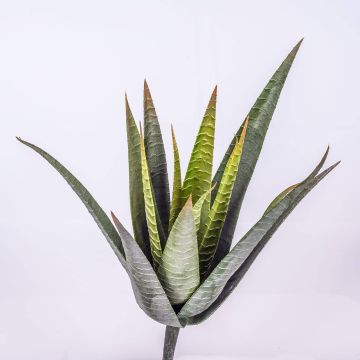 Kunst Aloe Variegata MARTINEZ auf Steckstab, grün, 30cm, Ø17cm