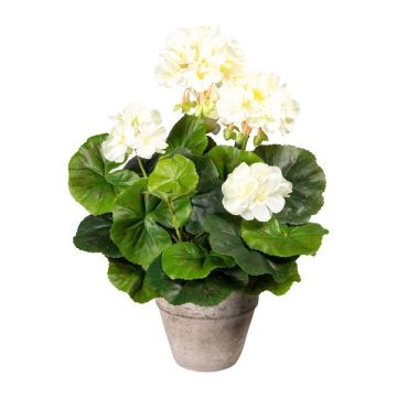 Kunstblume Geranie KLUMOR im Zementtopf, creme, 35cm