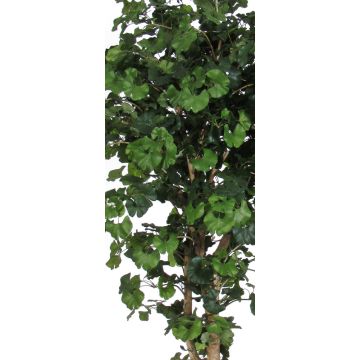 Künstlicher Ginkgo LUDOWIKA, Echtstämme, grün, 175cm - Made in Italy