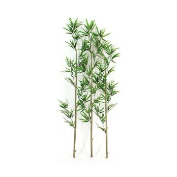 Kunst Bambusstäbe HILLEGONDE, Naturstämme, crossdoor, 225cm - Made in Italy