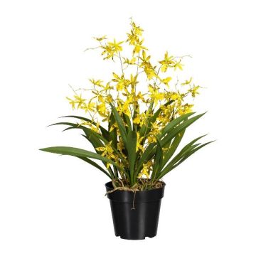 Kunstblume Oncidium Orchidee GLIMBAR, Wurzeln, gelb, 60cm