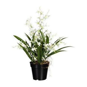 Kunstblume Oncidium Orchidee GLIMBAR, Wurzeln, weiß-grün, 60cm