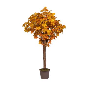 Kunstbaum Ahorn EDIK, Naturstamm, gelb-braun, 175cm - Made in Italy