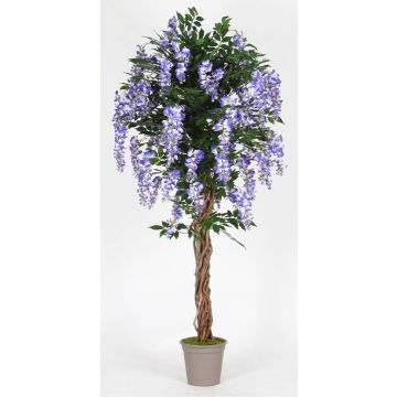 Kunst Blauregen ANNIARA, Echtstämme, mit Blüten, lila, 175cm - Made in Italy
