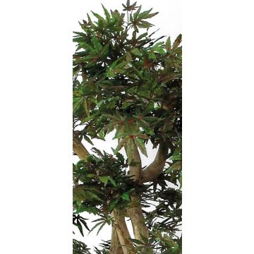 Deko Baum Japanischer Ahorn DANIIL, Echtstamm, grün-rot, 185cm - Made in Italy