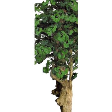 Künstlicher Ginkgo LUDWINGA, Naturstamm, grün, 200cm - Made in Italy