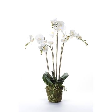 Kunst Phalaenopsis Orchidee PABLA, Moosball, weiß, 90cm